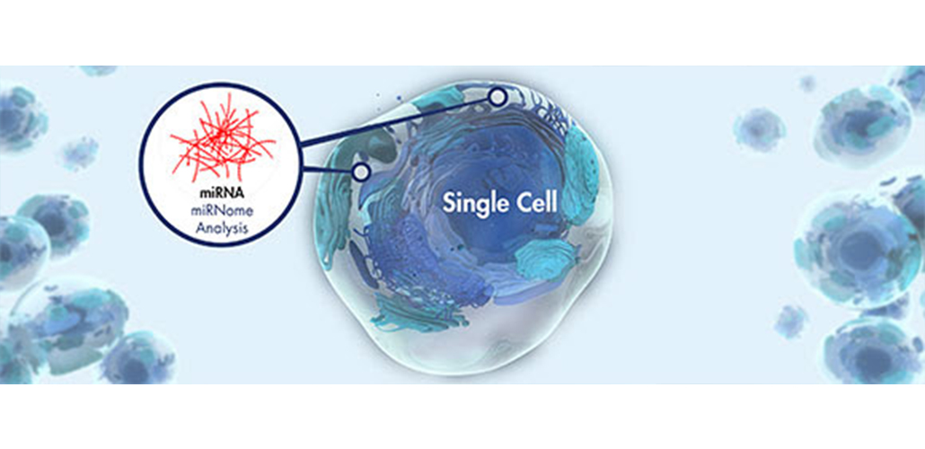 How can researchers rapidly resolve the miRNA profile of a single cell?
